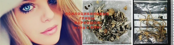 шишки Нефтегорск