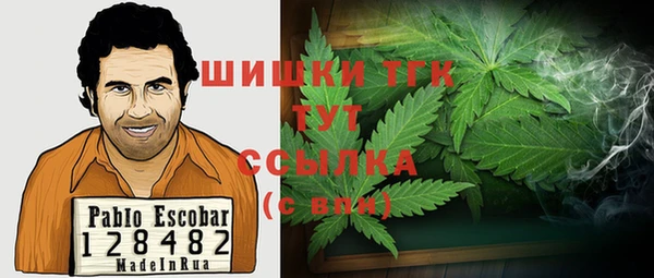шишки Нефтегорск