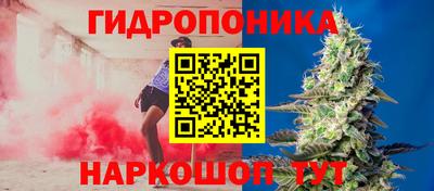 крисы Краснознаменск