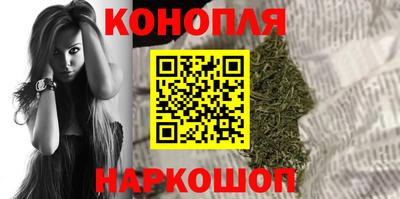 крисы Краснознаменск