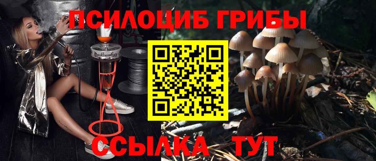 Галлюциногенные грибы прущие грибы  как найти закладки  Барабинск  Псилоцибиновые грибы Psilocybine cubensis  Вход с VPN 