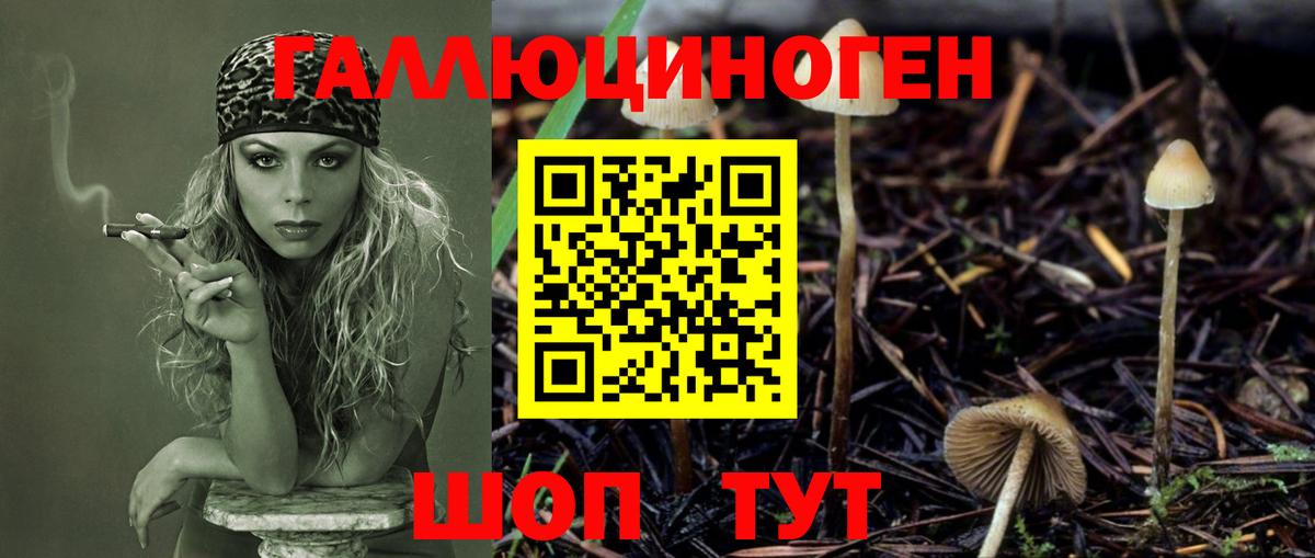 Псилоцибиновые грибы Magic Shrooms Барабинск